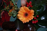 Blume 304