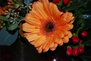 Blume 306