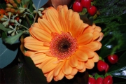 Blume 307