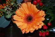 Blume 308