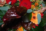 Blume 310