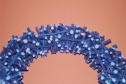 Blume 314