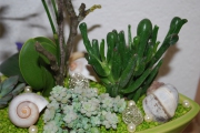 Blume 340