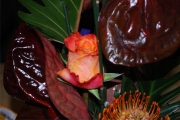 Blume 373