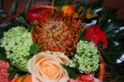 Blume 380