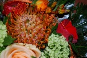 Blume 381
