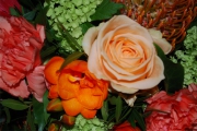Blume 383