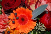 Blume 386