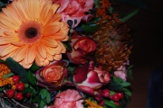 Blume 387