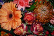 Blume 389