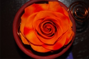 Blume 391