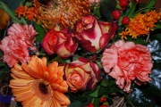 Blume 404