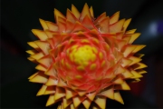 Blume 410