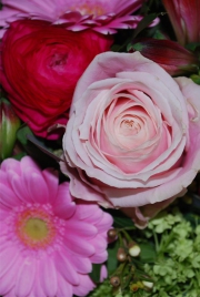 Blume 7