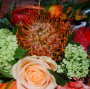 Blume 8