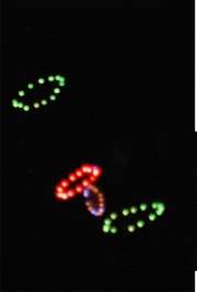Feuerwerk 8