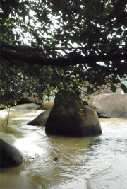 Landschaft 19