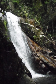Landschaft 20