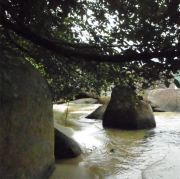 Landschaft 218