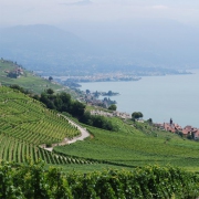 Landschaft 305