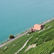 Landschaft 307