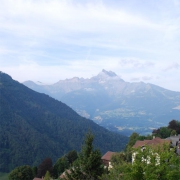 Landschaft 310
