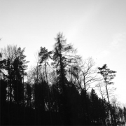 Landschaft 31