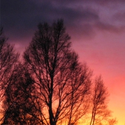 Sonnenuntergang 11