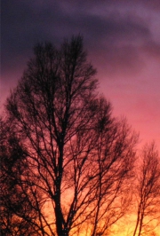 Sonnenuntergang 9