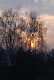 Sonnenuntergang 5