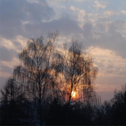 Sonnenuntergang 6
