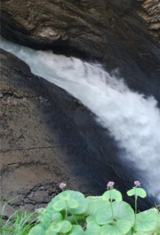 Wasser 11