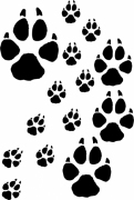 Hundetatzen