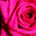 Blumen